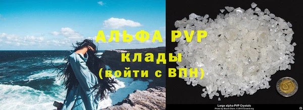 винт Ельня