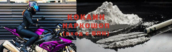 ECSTASY Елизово
