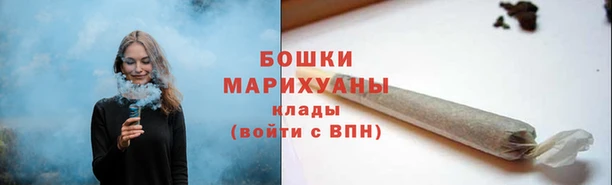 ECSTASY Елизово