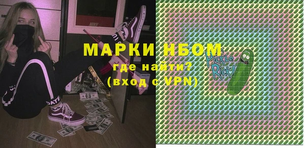 винт Ельня