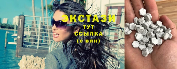 винт Ельня