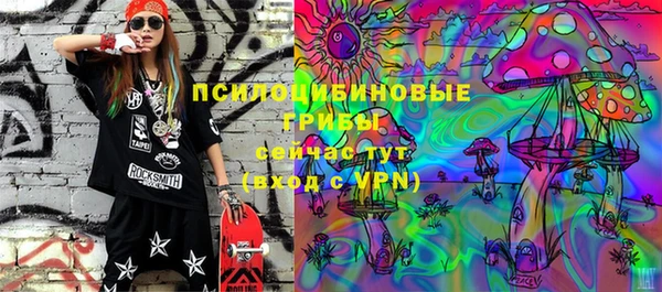 прущие грибы Заводоуковск