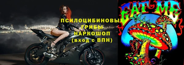 ECSTASY Елизово