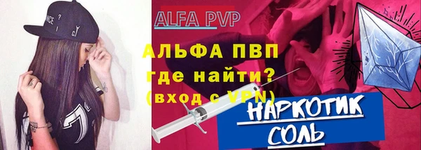 винт Ельня