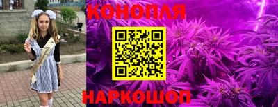 скорость Заволжье