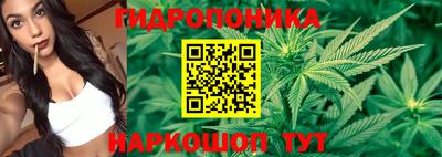скорость Заволжье