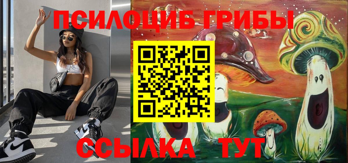 Избербаш  Галлюциногенные грибы мицелий  Вход с VPN 